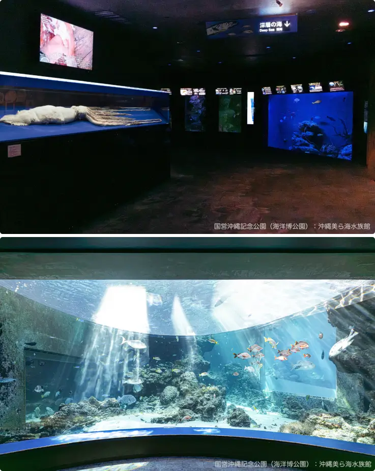 Fish tank and displays at Okinawa Churaumi Aquarium.