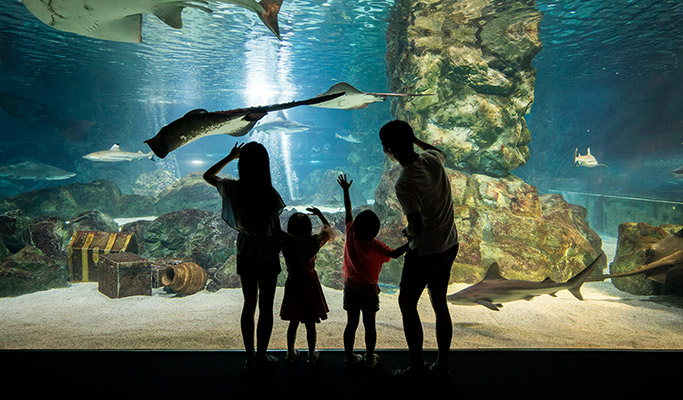 COEX Aquarium Discount Ticket