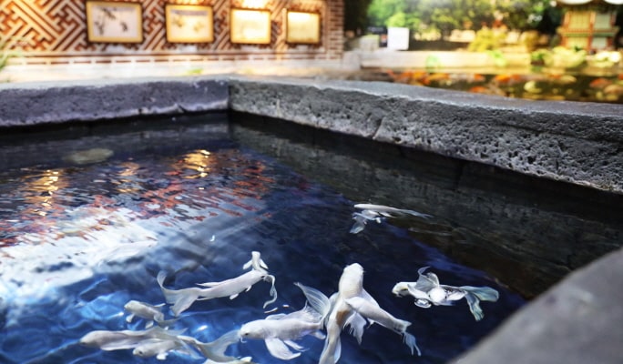 COEX水族馆优惠票