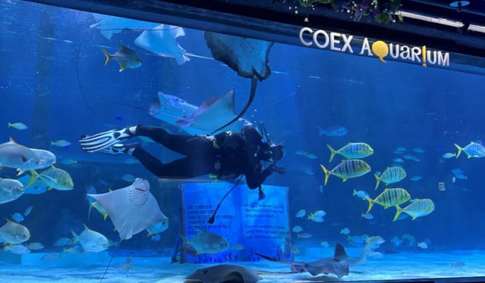 COEX水族馆优惠票