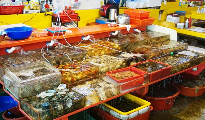 Korean Cooking Class + Market Tour in Busan