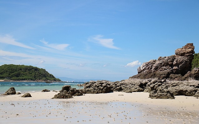 Pattaya Coral Island (Koh Larn) 1 Day Tour (+ Water Activity Options) (+ Indian Lunch) - from Pattaya