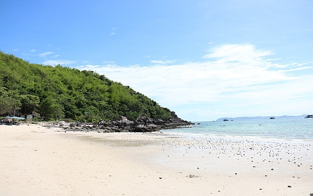 Pattaya Coral Island (Koh Larn) 1 Day Tour (+ Water Activity Options) (+ Indian Lunch) - from Pattaya