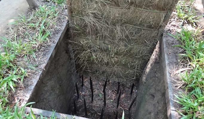 Cu Chi Tunnel + Mekong Delta 1 Day Tour - From Ho Chi Minh City