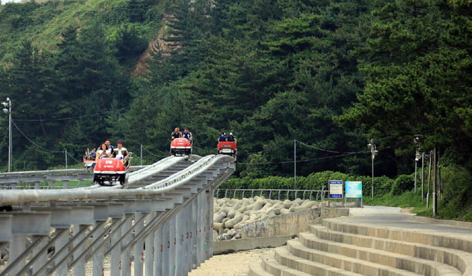 Daecheon Beach Sky Bike & Grape Picking Tour (Sep 7~Oct 10)