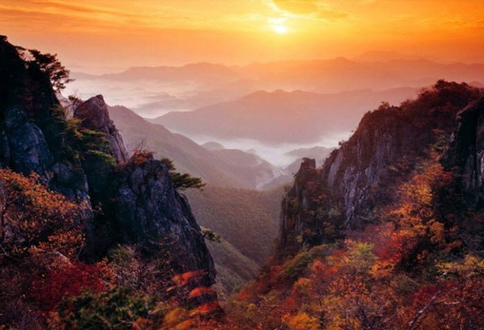 Korea Autumn/Fall Foliage Mountain Shuttle Bus Package