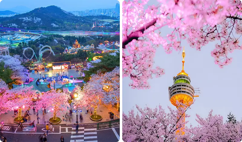 Daegu E-World & 83 Tower Observatory Discount Ticket