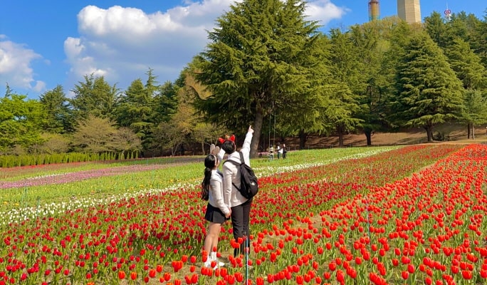 大邱E世界 & 83 塔展望台 1 日遊 - 釜山出發
