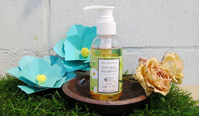 Daegu Skylake Organic Skin Product Making Experience