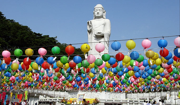 釜山出发的大邱私人一日游