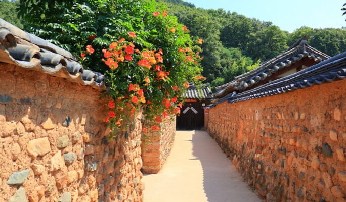 大邱小團一日遊-釜山/大邱出發