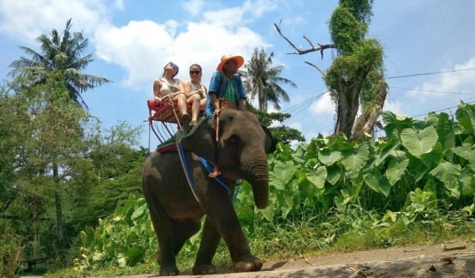 Damnoen Saduak Floating Market Tour Elephant Ride Option Trazy Your Travel Shop For Asia
