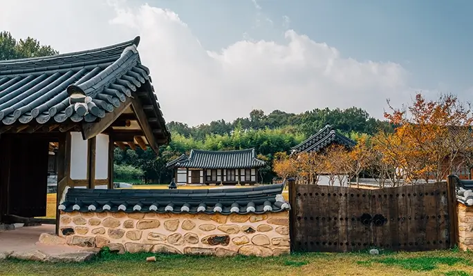 [Autumn Foliage] Damyang Juknokwon Bamboo Forest and Metasequoia Road 1 Day Tour - from Busan