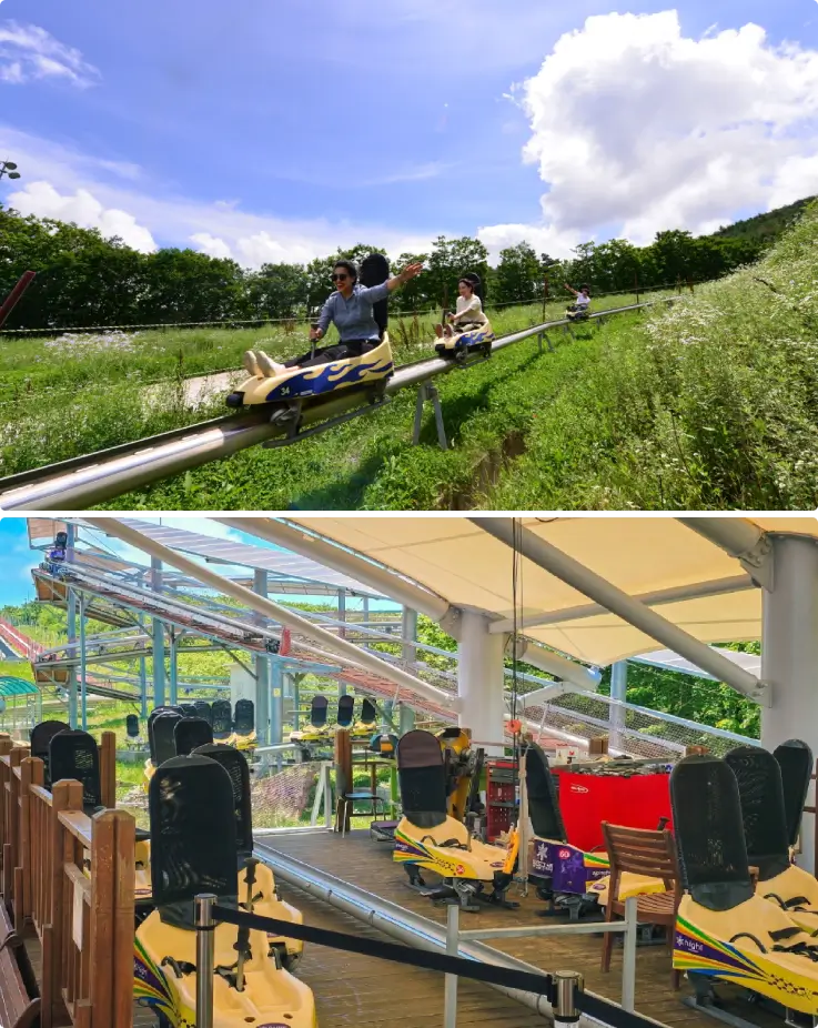 Alpine coaster ride through mountain forest at High1 Resort