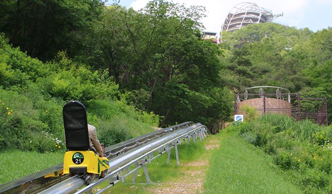 Spring Special: Danyang Sogeumjeong Park + Dodamsambong Peaks + Mancheonha Skywalk Cherry Blossom 1 Day Tour (+ Alpine Coaster/Zip Line options) - from Seoul (Apr 1~30)