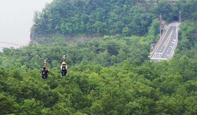 Spring Special: Danyang Sogeumjeong Park + Dodamsambong Peaks + Mancheonha Skywalk Cherry Blossom 1 Day Tour (+ Alpine Coaster/Zip Line options) - from Seoul (Apr 1~30)