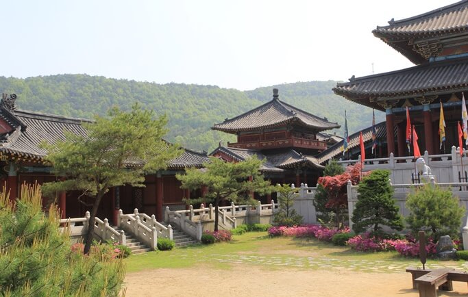 Danyang Paragliding One Day Tour - from Seoul/Busan
