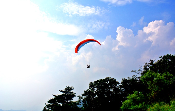 Danyang Paragliding One Day Tour - From Seoul Busan - Trazy, Korea's #1 