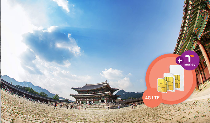 Unlimited 4G/LTE Data Only Sim Card (5~60 day) + T-money Transportation Card - Pick up from Incheon Airport T1