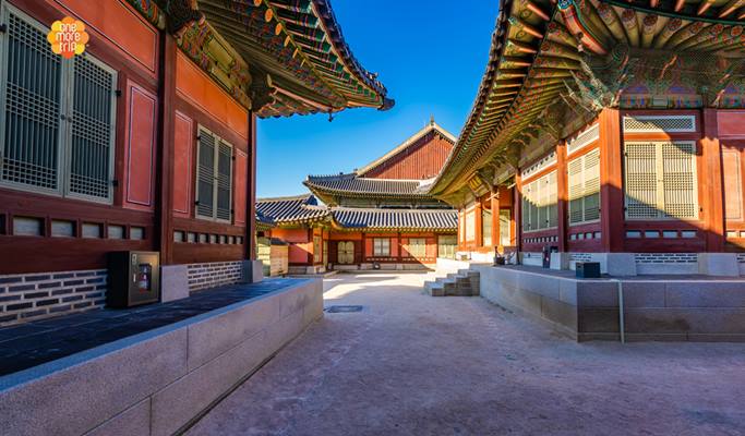 Gyeongbokgung Palace Morning Tour & Deoksugung Palace Night Tour - Trazy, Korea's #1 Travel Guide