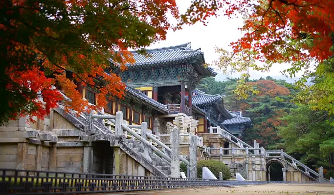 Discover Eastern Korea in 4 Days from Seoul: A Curated All-Inclusive Tour with Premium Accommodation & Meals