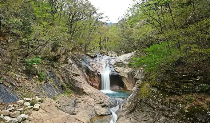 Discover Eastern Korea in 4 Days from Seoul: A Curated All-Inclusive Tour with Premium Accommodation & Meals