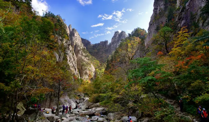 Discover Eastern Korea in 4 Days from Seoul: A Curated All-Inclusive Tour with Premium Accommodation & Meals