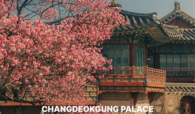 Discover Seoul Pass (72/120 - Hour Pass/ Pick 3 Pass)