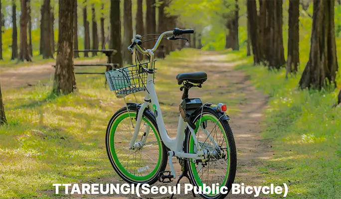 Discover Seoul Pass (72/120 - Hour Pass/ Pick 3 Pass)