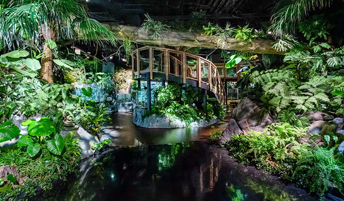 DMM Kariyushi Aquarium Discount Ticket in Okinawa