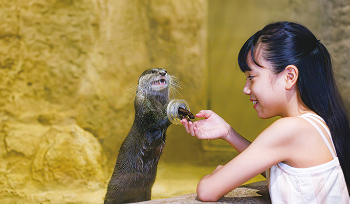 DMM Kariyushi Aquarium Discount Ticket in Okinawa