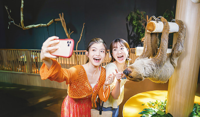 DMM Kariyushi Aquarium Discount Ticket in Okinawa