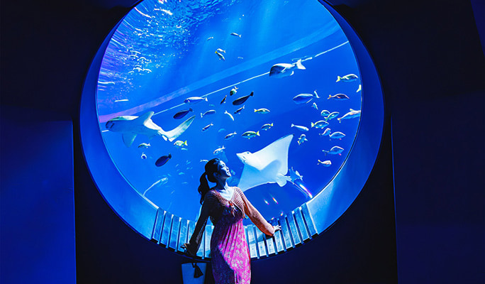 DMM Kariyushi Aquarium Discount Ticket in Okinawa