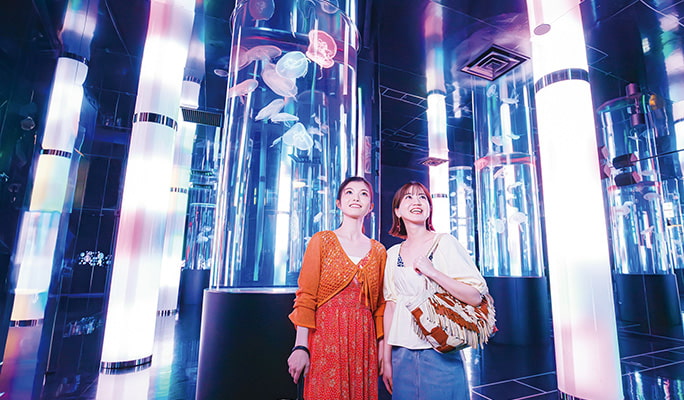 DMM Kariyushi Aquarium Discount Ticket in Okinawa