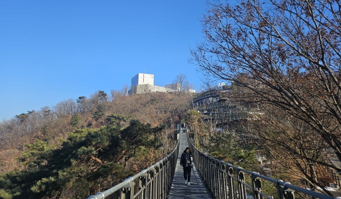 Visit the Closest Starbucks to DMZ: Aegibong Peace Ecopark & Hyundai Outlet 1 Day Tour - from Seoul