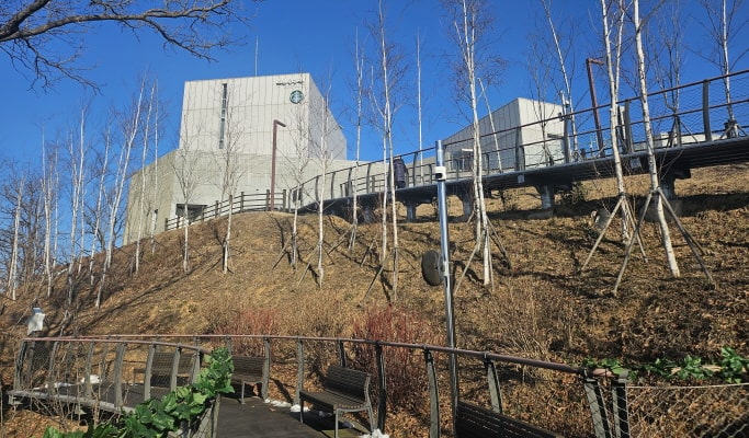 Visit the Closest Starbucks to DMZ: Aegibong Peace Ecopark & Hyundai Outlet 1 Day Tour - from Seoul