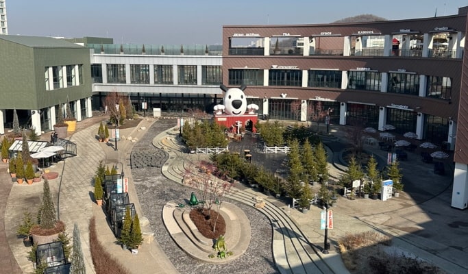 Visit the Closest Starbucks to DMZ: Aegibong Peace Ecopark & Hyundai Outlet 1 Day Tour - from Seoul