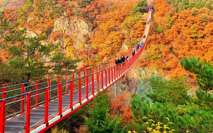 Gamaksan Suspension Bridge in fall