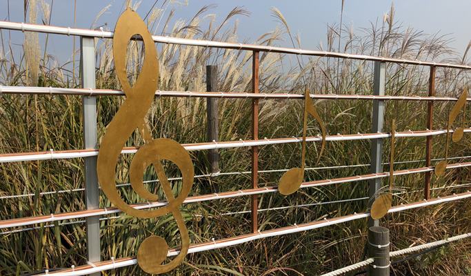 DMZ & Haneul Park Silver Grass Festival 1 Day Tour (Oct 15~20)