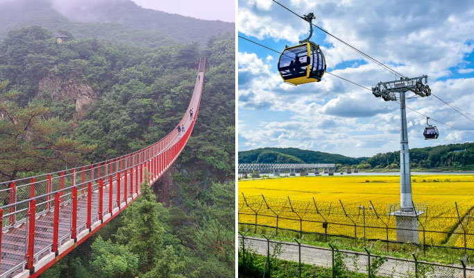 DMZ Tour from Seoul (+ DMZ Gondola/ Suspension Bridge option)