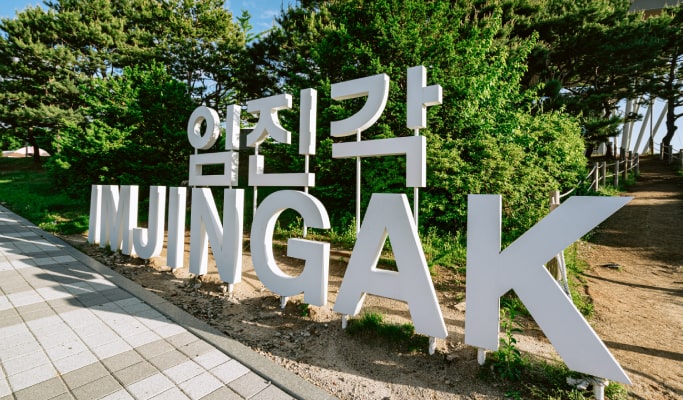 2023 DMZ OPEN 和平公園野餐慶典一日遊 & 接駁巴士套餐（9 月 23 日）- 首爾出發