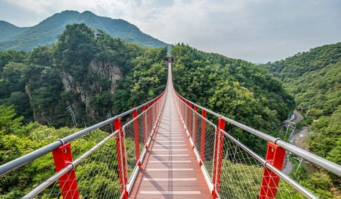 DMZ & 吊橋 1 日遊（首爾出發）（拼團/私人）