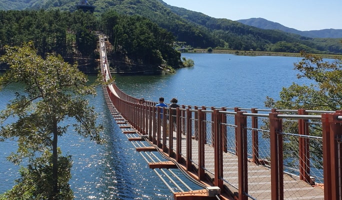 DMZ + Majang Lake Suspension Bridge Full Day Tour