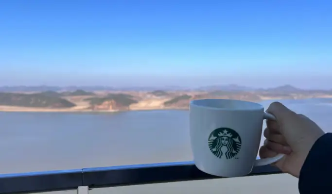 Starbucks DMZ & Suspension Bridge 1 Day Tour