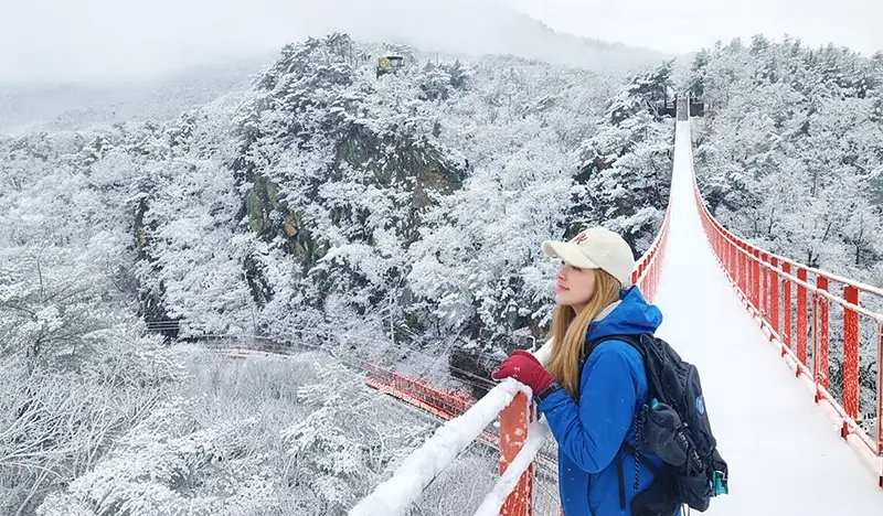 DMZ & Suspension Bridge 1 Day Tour from Seoul (Join-in/Private)