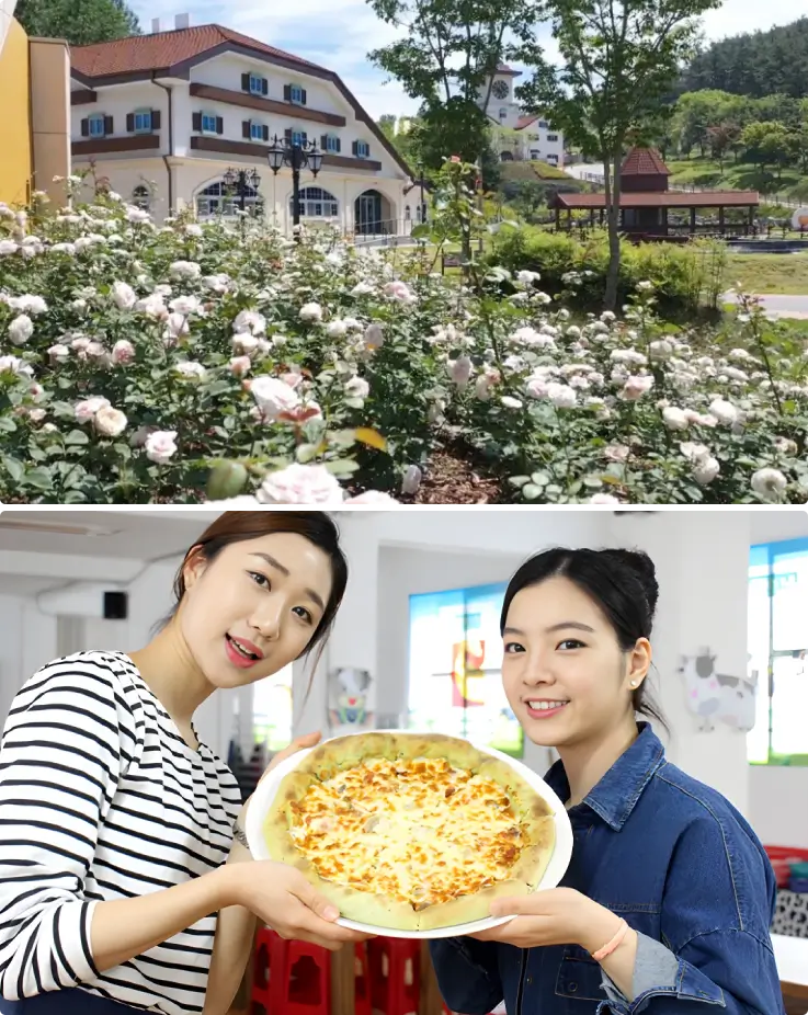 Visitors participating in cheese-making activities at Imsil Cheese Theme Park