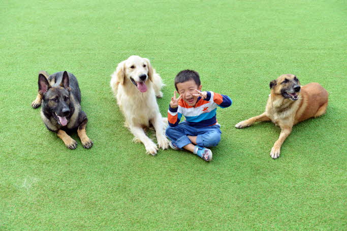 Animal Fun: World Dog Park Ticket