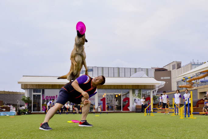 Animal Fun: World Dog Park Ticket
