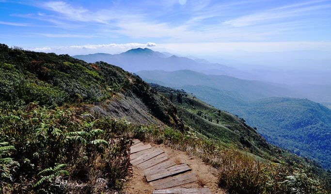 Doi Inthanon National Park 1 Day Tour in Chiang Mai (Join-in/Private)