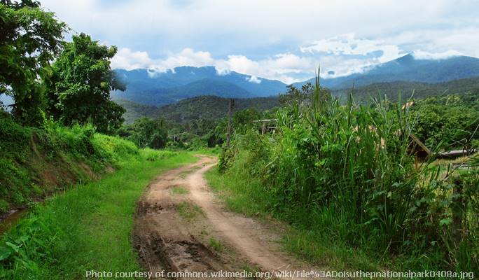 Doi Suthep-Pui National Park Trekking Tour in Chiang Mai (Full Day)